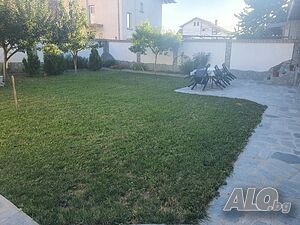 image_7
