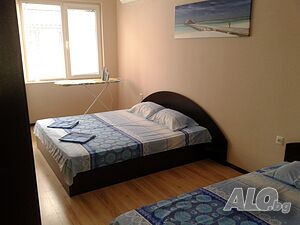 image_5