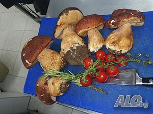 image_39