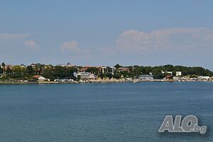 image_31