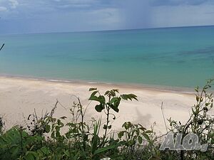 image_7