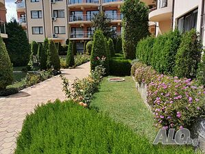 image_24