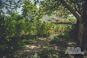 image_26