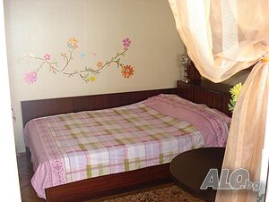 image_11