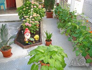 image_15
