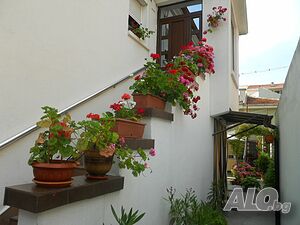 image_31