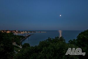image_8