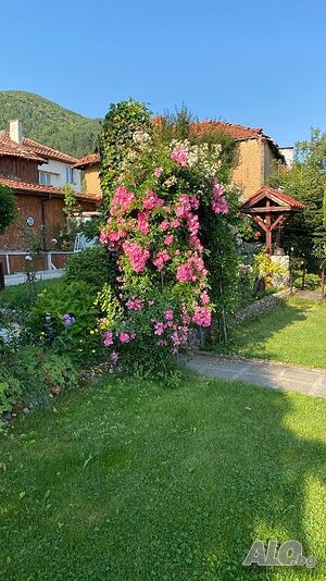 image_22