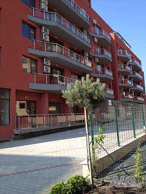 image_8