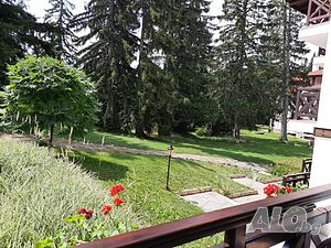 image_8