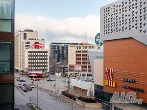 image_12