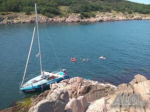 image_9