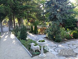 image_19