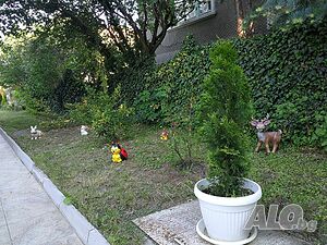 image_25