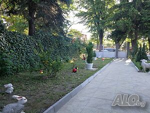 image_29