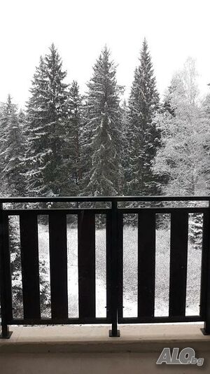 image_15