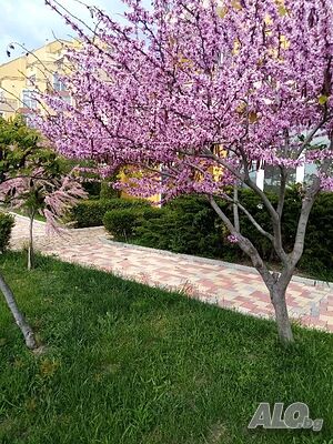 image_15