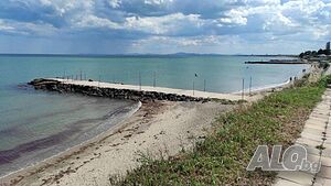 image_30