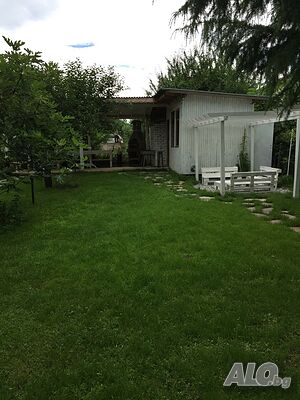 image_7