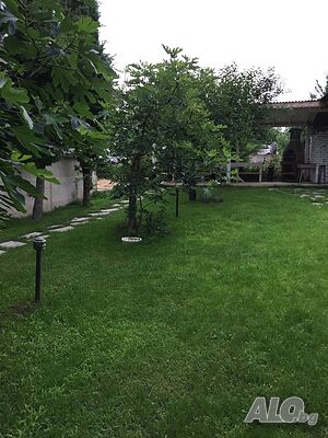 image_8