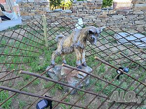 image_21