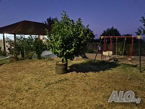 image_25