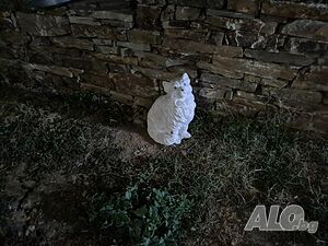 image_31