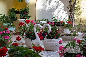 image_37