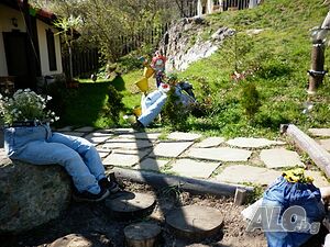 image_9