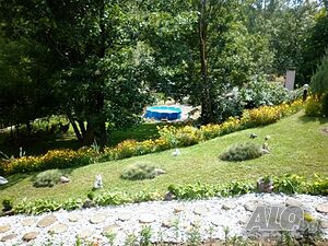 image_12