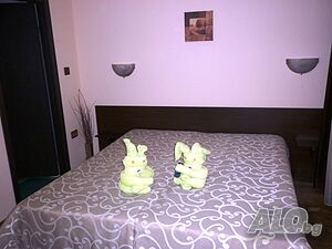 image_18