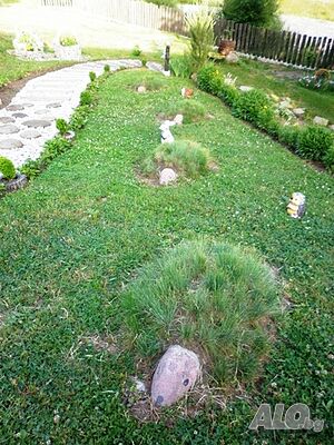 image_21