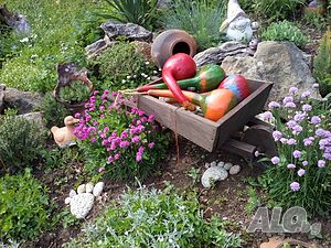 image_25