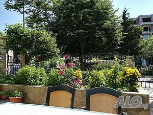 image_5