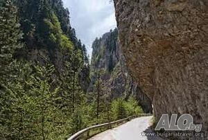 image_3