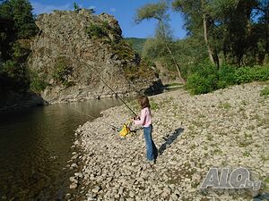 image_6