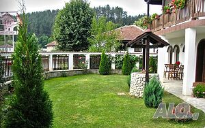 image_6
