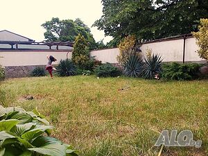 image_6