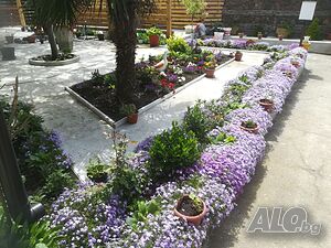 image_17