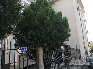 image_3
