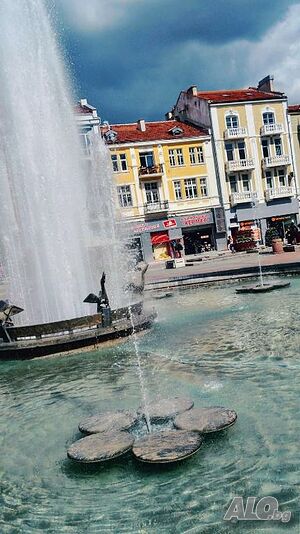 image_11
