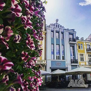 image_24