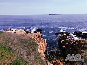 image_19