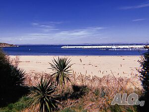 image_22