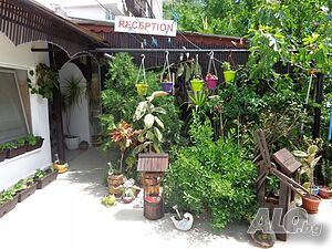 image_10