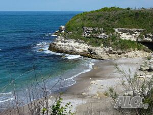 image_15