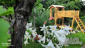 image_44