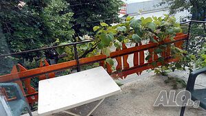 image_6