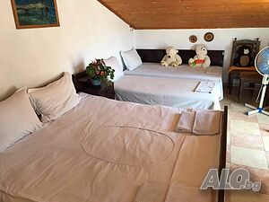 image_6