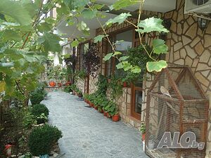 image_9